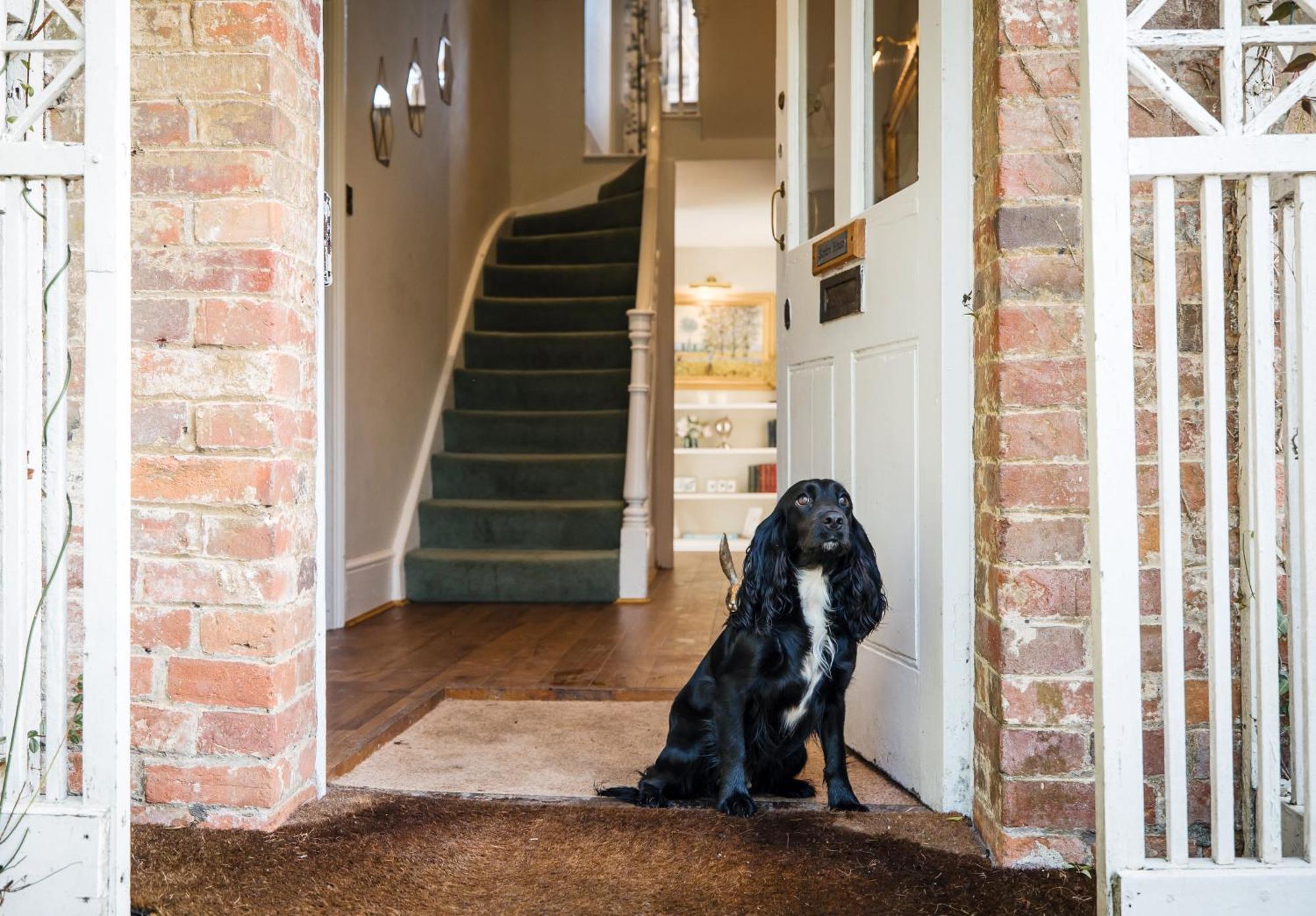 Orchardleigh Estate Hotell Frome Exteriör bild